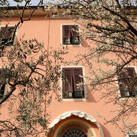 Angelini Dal 1911 Hotell Lucca Eksteriør bilde