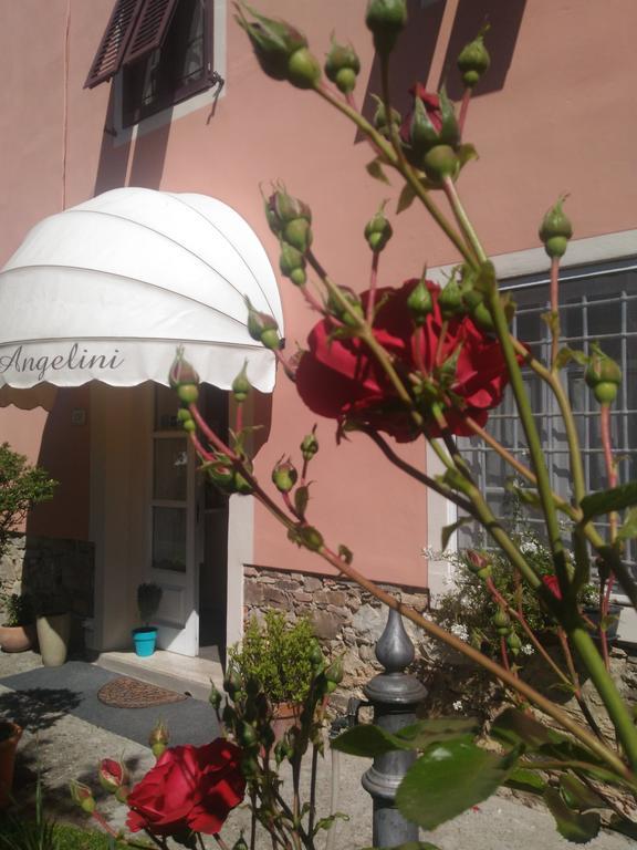 Angelini Dal 1911 Hotell Lucca Eksteriør bilde