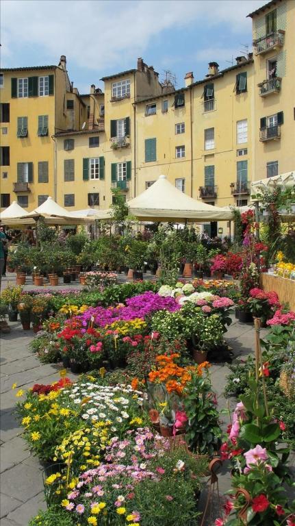 Angelini Dal 1911 Hotell Lucca Eksteriør bilde