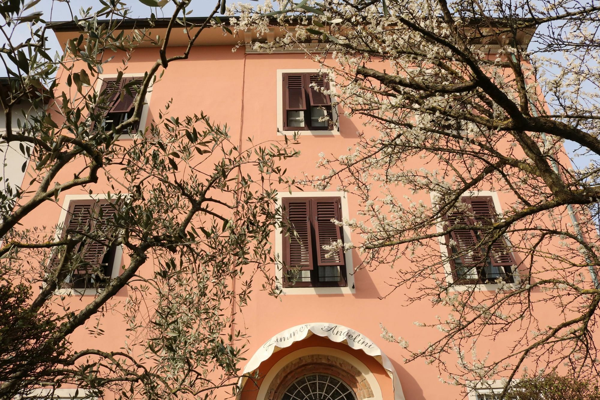Angelini Dal 1911 Hotell Lucca Eksteriør bilde